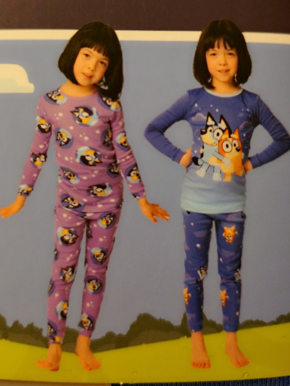 Bluey 4 PC Kids' Purple and Blue Character Pajama Set